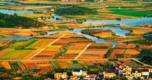 亚洲日本一线产区和二线产区