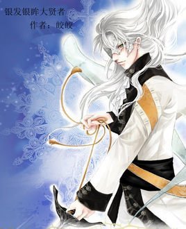银发银眸大贤者的介绍