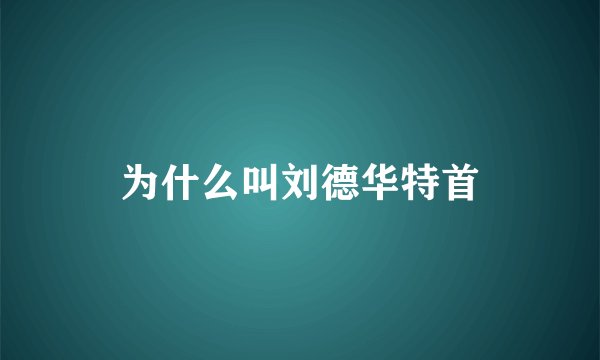 为什么叫刘德华特首