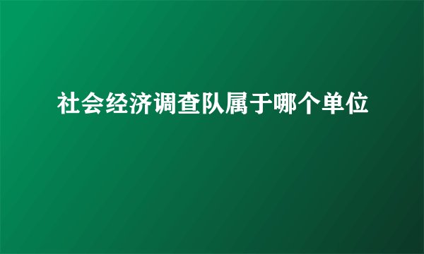 社会经济调查队属于哪个单位