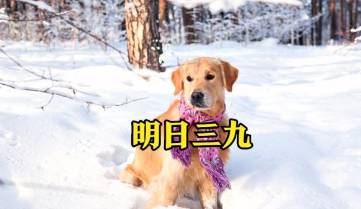 三九天下大雨预示什么