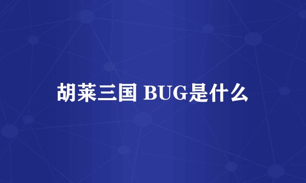 胡莱三国 BUG是什么