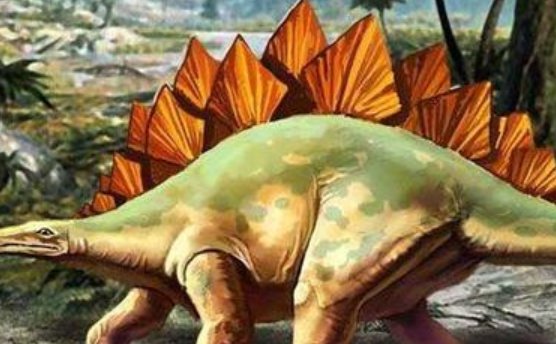 恐龙都有什么种类？