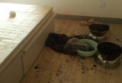 大三情侣在酒店烧炭自杀，学校是否需要承担责任？