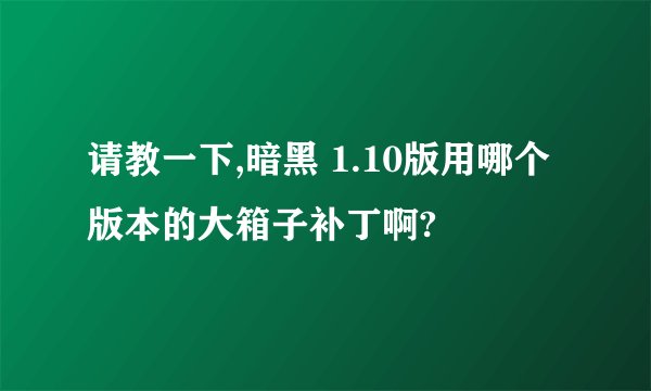 请教一下,暗黑 1.10版用哪个版本的大箱子补丁啊?