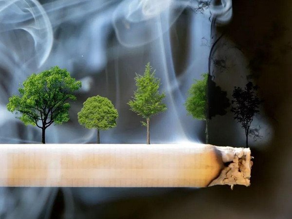 女子长期吸同事二手烟肺部长肿块,长期吸二手烟有哪些危害?