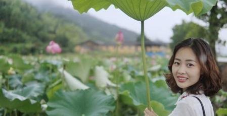 请你说说荷花在中国传统文化中有哪些象征意义