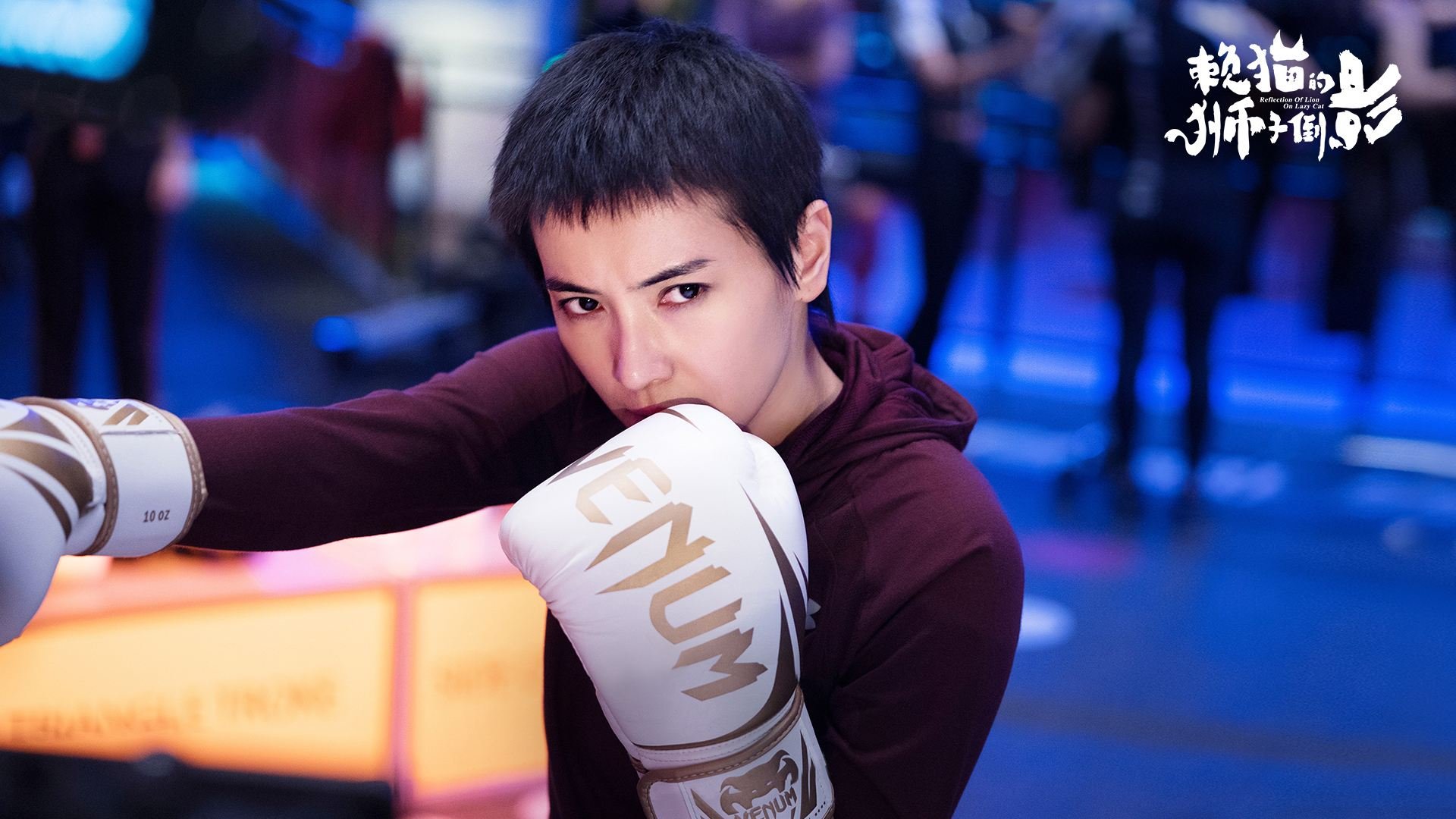 《赖猫的狮子倒影》在哪个平台播放？