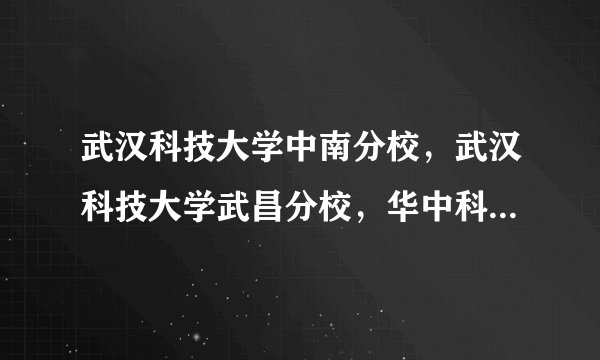 武汉科技大学中南分校，武汉科技大学武昌分校，华中科技大学文华学院，华中科技大学武昌分校