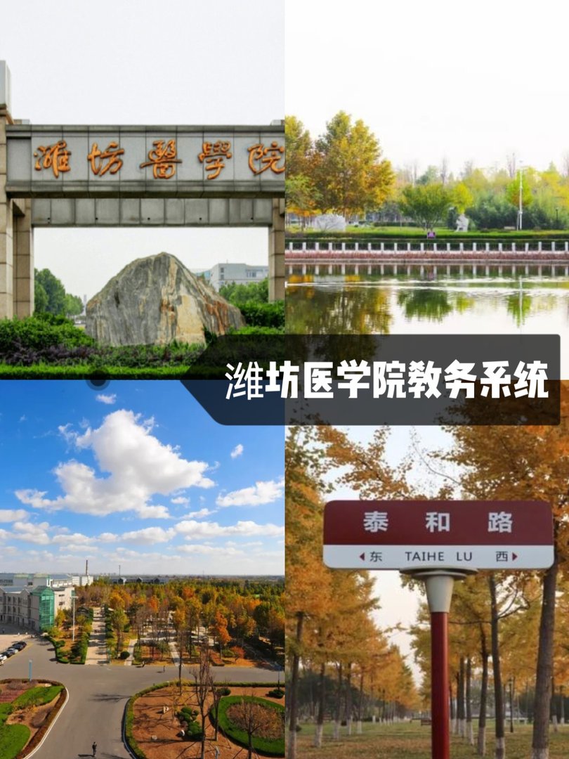 潍坊医学院教务系统
