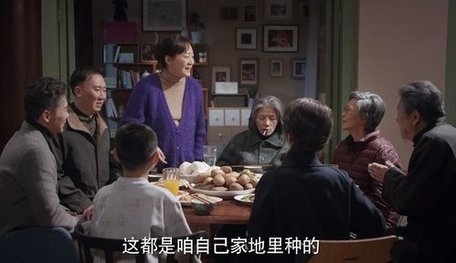 电视剧幸福里的故事多少集