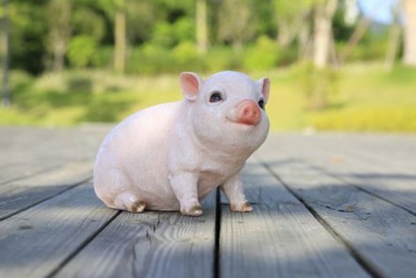 二道败子打一生肖