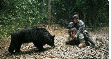 梦见黑熊是什么预兆