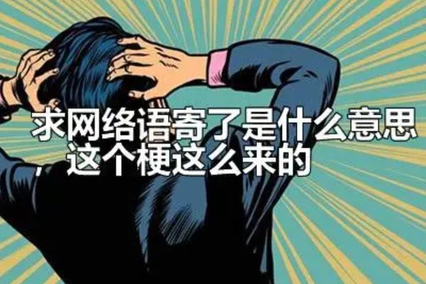寄了网络用语是什么意思