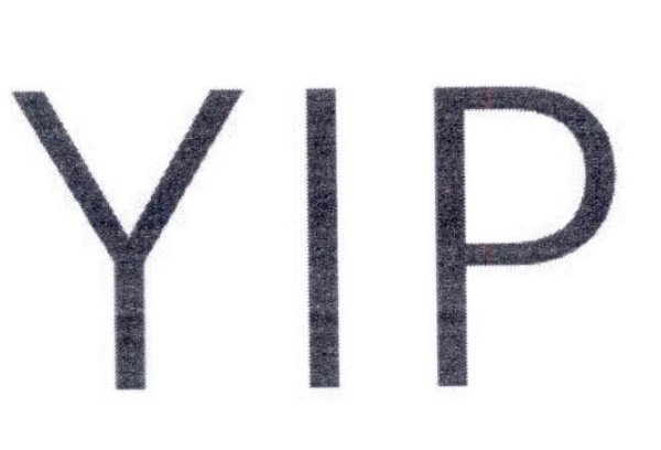 yip是什么意思