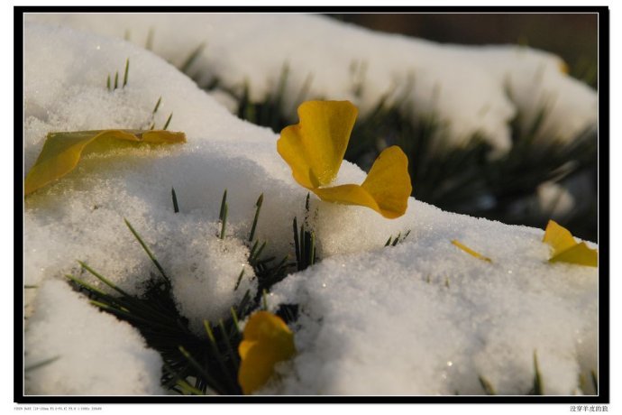 春去冬来的成语