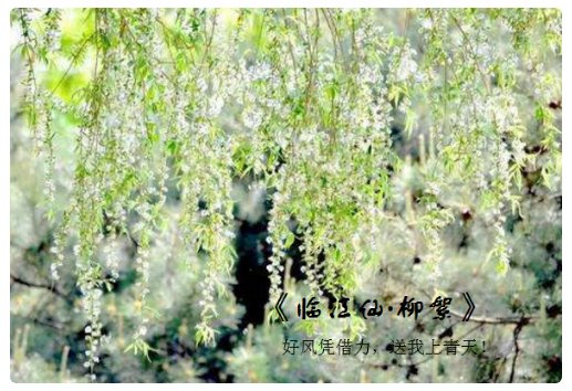 “好风凭借力,送我上青云”的全诗是什么?