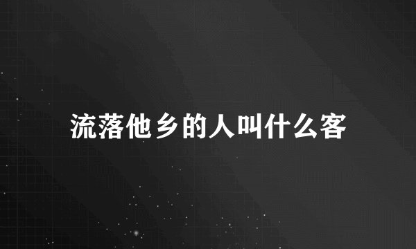 流落他乡的人叫什么客