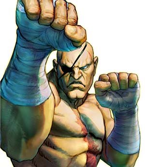 沙加特的人物传记