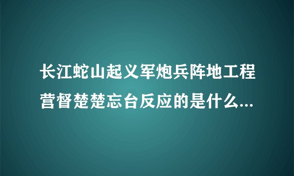 长江蛇山起义军炮兵阵地工程营督楚楚忘台反应的是什么历史事件