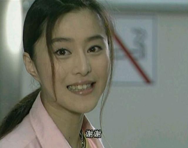 范冰冰洪金宝演的电视剧