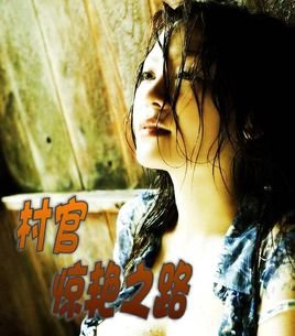 惊艳村官路的小说基本信息