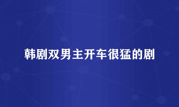 韩剧双男主开车很猛的剧