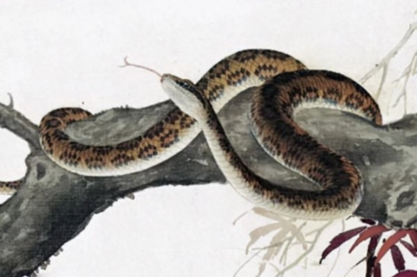 蜂蝶随香指什么生肖