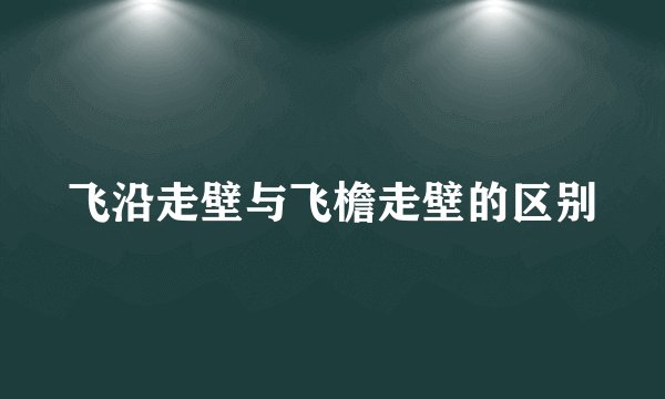 飞沿走壁与飞檐走壁的区别