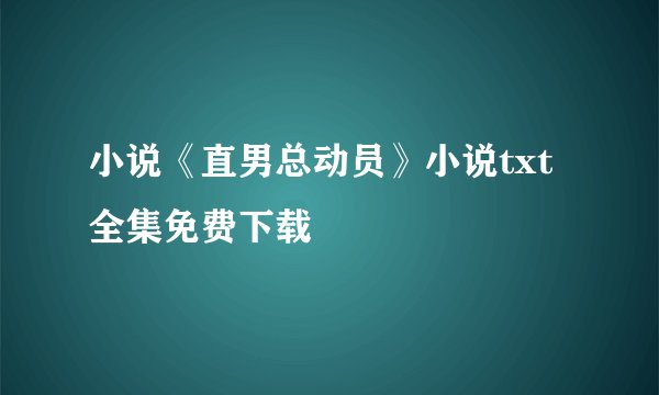 小说《直男总动员》小说txt全集免费下载