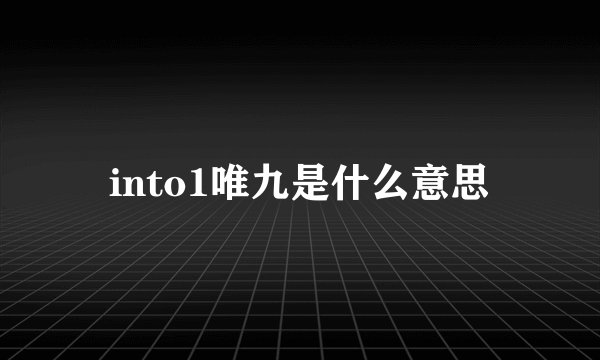 into1唯九是什么意思
