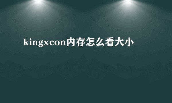 kingxcon内存怎么看大小