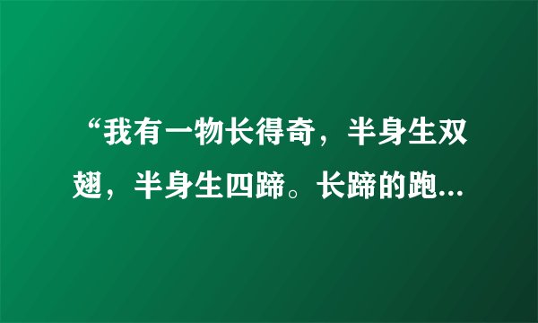 “我有一物长得奇，半身生双翅，半身生四蹄。长蹄的跑不快，长翅的飞不起。”的谜底是什么？