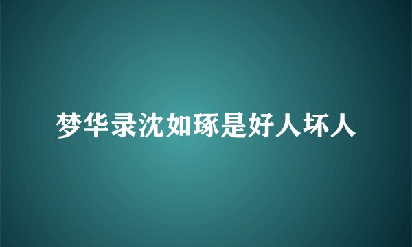 梦华录沈如琢是好人坏人