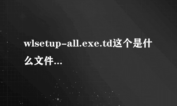 wlsetup-all.exe.td这个是什么文件，能删吗？