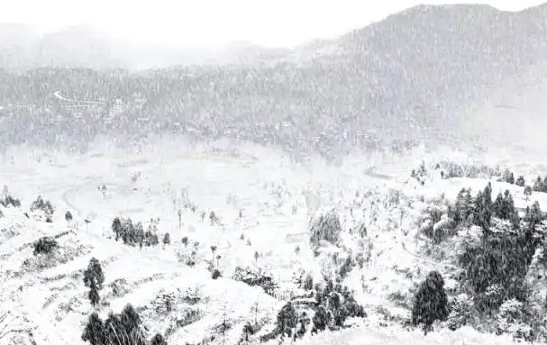 雪与梅花的打油诗