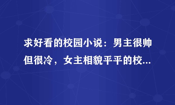 求好看的校园小说：男主很帅但很冷，女主相貌平平的校园小说，章节别超过300
