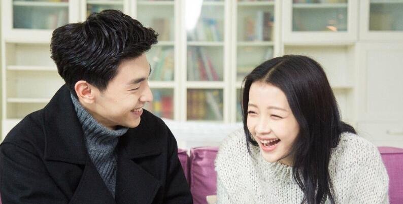 《十五年等待候鸟》演员表