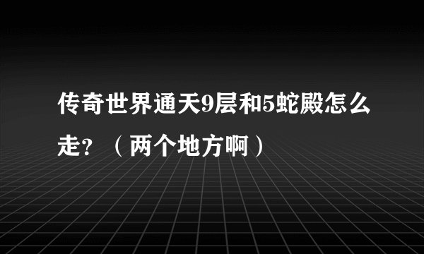 传奇世界通天9层和5蛇殿怎么走？（两个地方啊）