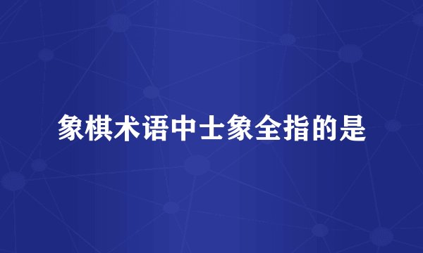 象棋术语中士象全指的是