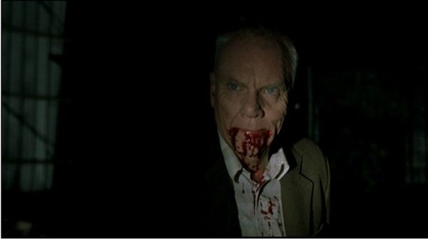 罗斯托夫的野兽的介绍