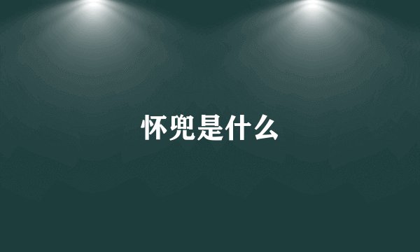 怀兜是什么
