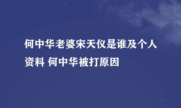 何中华老婆宋天仪是谁及个人资料 何中华被打原因