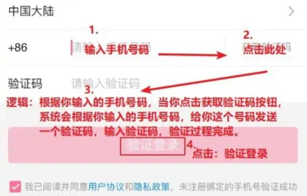 苹果手机怎么上p站？