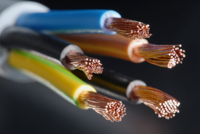 父亲的东西又长又黑儿子