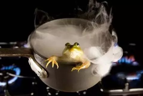 温水煮青蛙歇后语是什么意思？