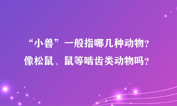 “小兽”一般指哪几种动物？像松鼠、鼠等啮齿类动物吗？