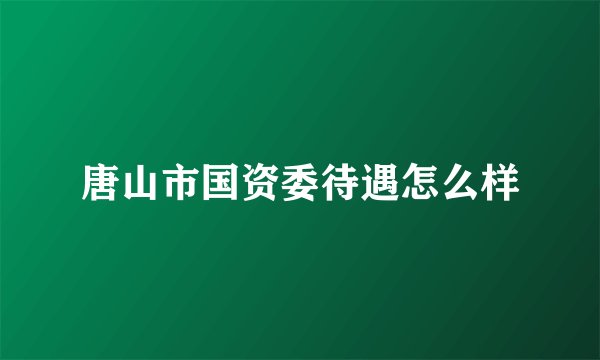 唐山市国资委待遇怎么样