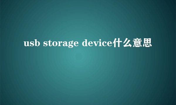 usb storage device什么意思