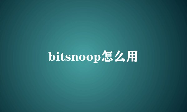 bitsnoop怎么用